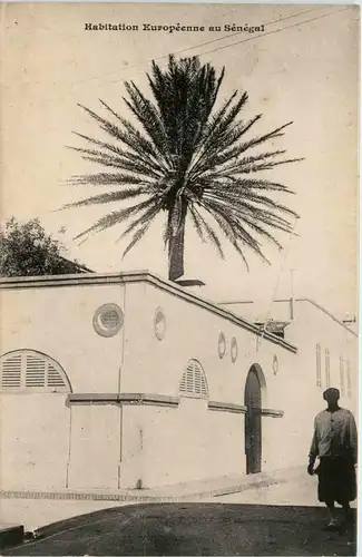 Senegal - Habitation Europeenneux -443364