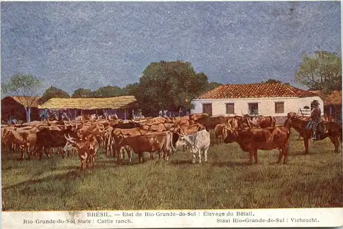 Bresil - Rio Grande do Sul -442216