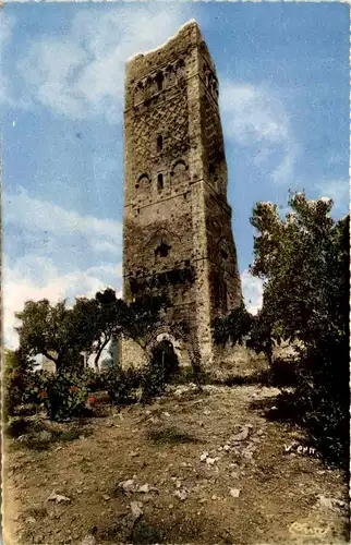 Tlemcen, La Tour de mansourah, Vieilles Ruines -362062