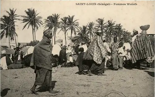 Senegal - Saint Louis -443358