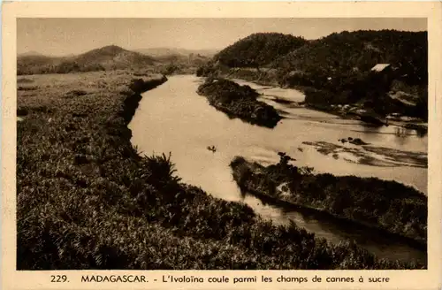 Madagascar -443518