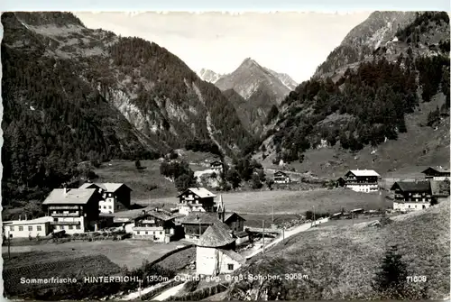 Osttirol, Sommerfrische Hinterbichl , gegen Gross-Schober -350906