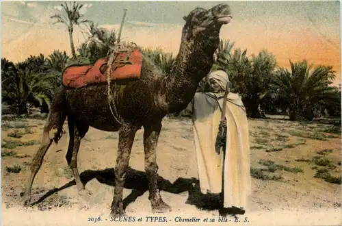 Algerie - Scenes et Types -441712