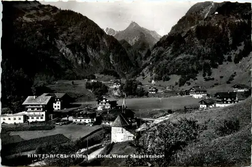 Osttirol, Hinterbichl, Hotel Wiener Sängerknaben -351146