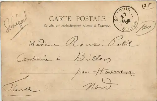 Senegal - Saint Louis -443328