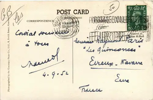 Guernsey - Pine Forest -442850