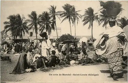 Senegal - Saint Louis -443372