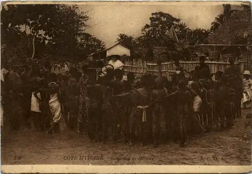Cote D Ivoire -443548