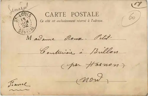 Senegal - Saint Louis -443316