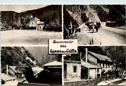 Gorges de la Chiffa -361956