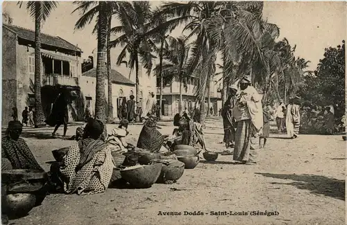 Senegal - Saint Louis -443350