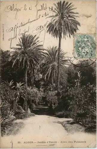 Alger, Jardin dÈssai - Allee des Palmiers -361924