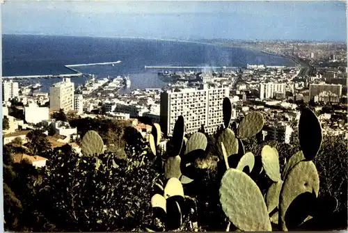 Alger, Panorama -361838