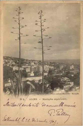 Alger, Mustapha superieure -361898