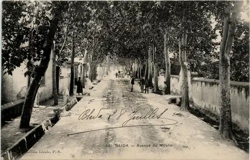 Blida, Avenue du Moulin -363332