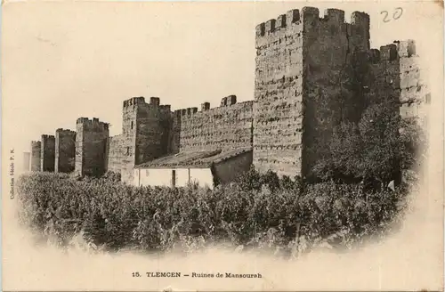 Tlemcen, Ruines de Mansourah -362560