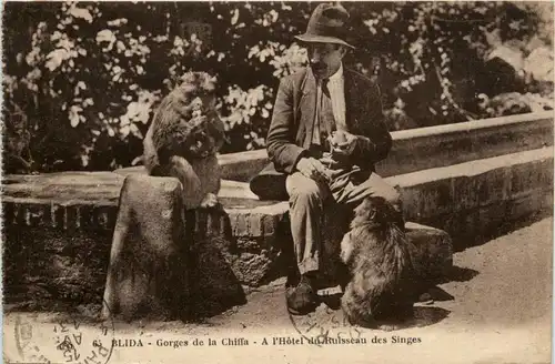 Blida, Gorges de la Chiffa, A L`Hotel du Ruisseau des Singes -363326