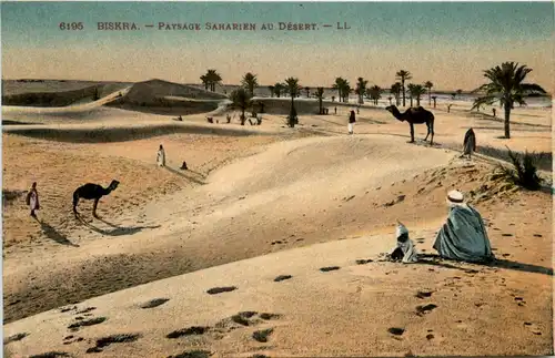 Biskra, Paysage Saharien au Desert -362358