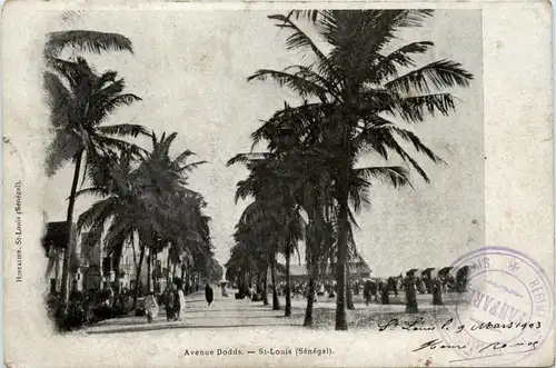 Senegal - Saint Louis -443426
