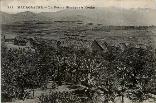 Madagascar - La Ferme Hippique -443446