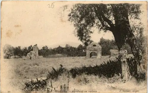 Tlemcen, Marabout en ruines -362558