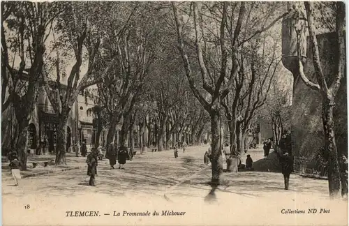 Tlemcen, La Promenade du Mechouar -362578