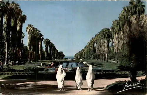 Alger, Au Jardin dÈssai -361894