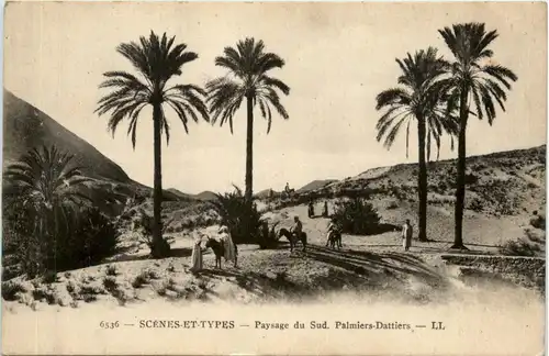 Algerien sonstige, Paysage du Sud, Palmiers Dattiers -363200
