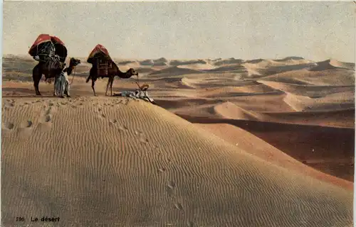 Algerien sonstige, Le desert -363220