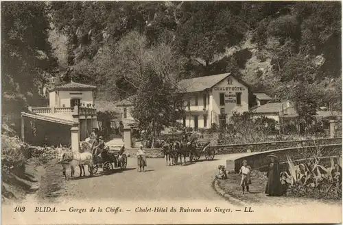 Blida, Gorges de la Chiffa, A L`Hotel du Ruisseau des Singes -363340