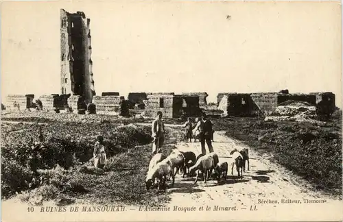 Ruines de Mansourah -362998