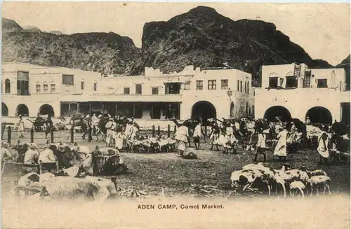 Aden Camp - Camel Market -444504