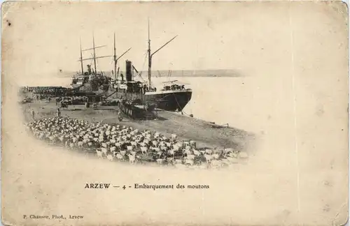 Arzew, Embarquement des moutons -362634