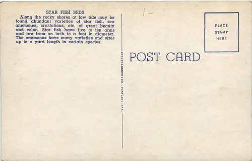 Oregon - Star fish -443792