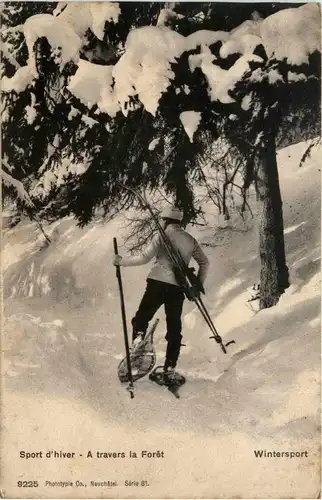 Wintersport - Schneeschuh laufen -443856