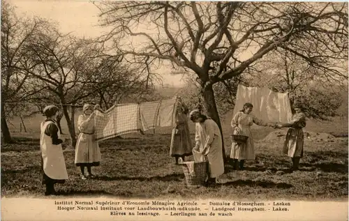 Llaeken - Institut Normal D Economie -444068