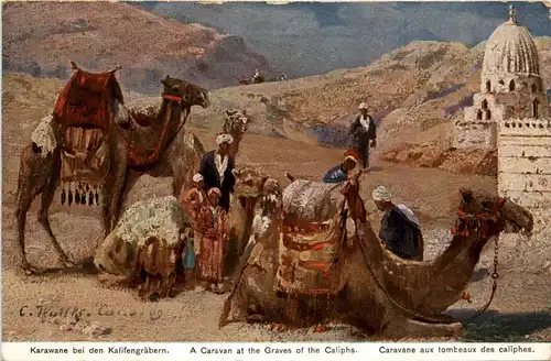 Egypt - Karawane bei den Kalifengräbern -443996