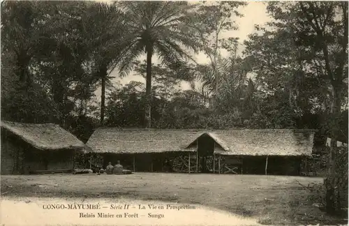 Congo-Mayumbe -445304