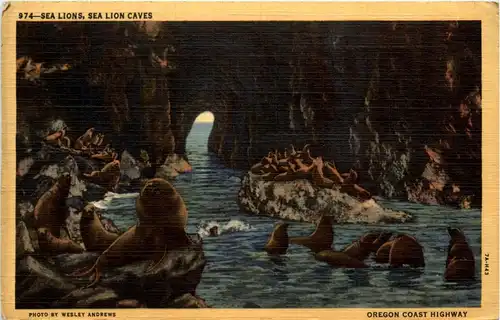 Oregon Coast Highway -445398