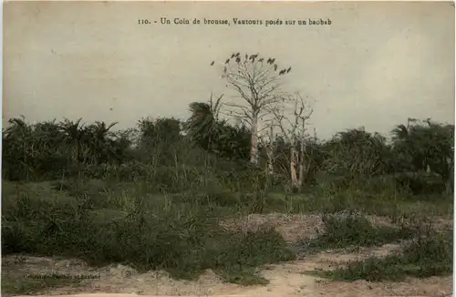 Un Coin de brouse -444636