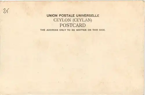 Ceylon - Kandy -446294