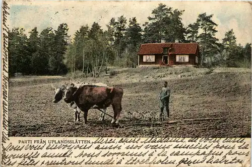 Parti fran Uplandsslätten -444956