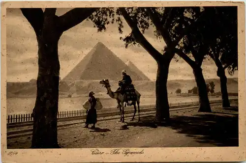 Cairo - The Pyramides -445368