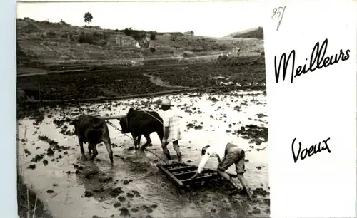 Madagascar - Tananarive -446458