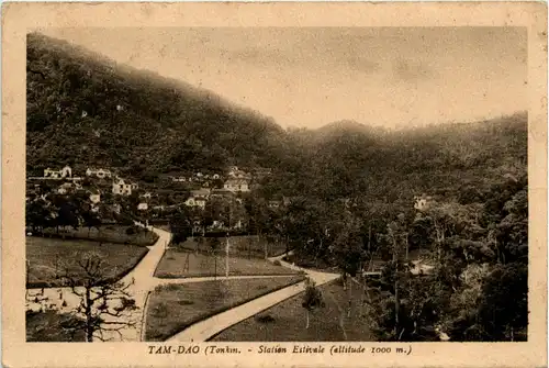 Tonkin - Tam-Dao -446602