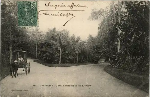Saigon - Jardin Botanique -446478