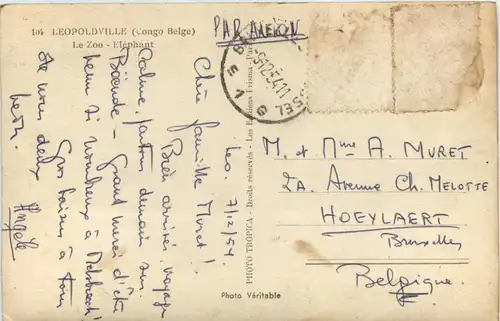 Congo - Leopoldville - Elephant -445612