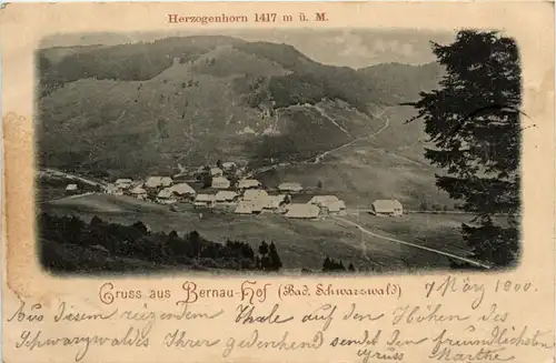 Gruss aus Bernau-Hof - Schwarzwald -73410