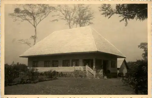 Congo - Gossamu -445590