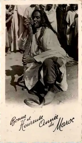 Maroc - Snake -447142